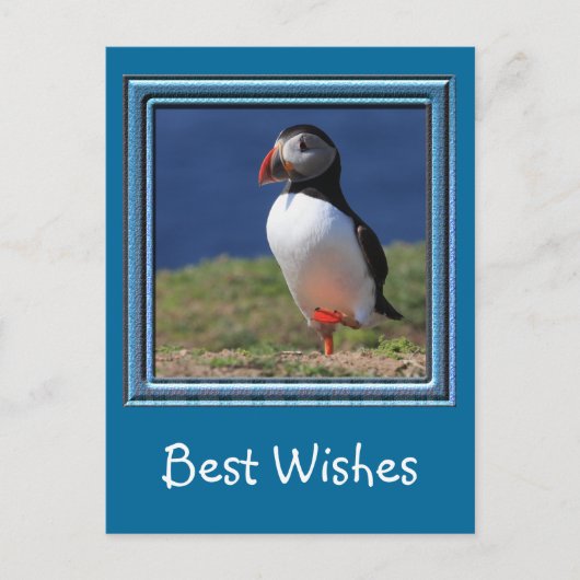 Skomer Island Puffins Briefkaart (Voorkant)