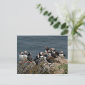 Skomer Island Puffins Briefkaart (Staand voorkant)