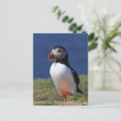 Skomer Island Puffins Briefkaart (Staand voorkant)