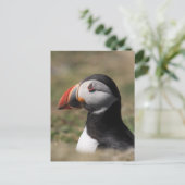 Skomer Island Puffins Briefkaart (Staand voorkant)
