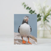 Skomer Island Puffins Briefkaart (Staand voorkant)