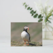 Skomer Island Puffins Briefkaart (Staand voorkant)