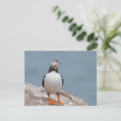Skomer Island Puffins Briefkaart (Staand voorkant)