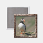 Skomer Island Puffins Magneet (Voorkant / Achterkant)