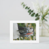 Skomer Puffin met Zandalen Briefkaart (Staand voorkant)