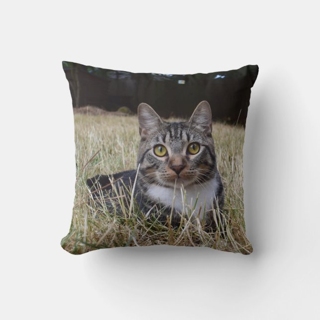 Skooter Pillow Kussen (Voorkant)