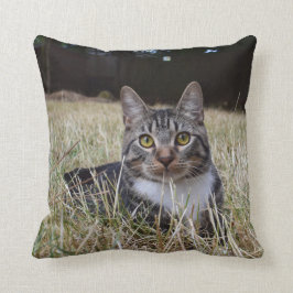 Skooter Pillow Kussen