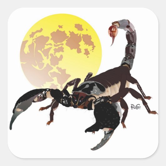 Skorpion Aufkleber Vierkante Sticker (Voorkant)
