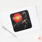 Skorpion Aufkleber Vierkante Sticker (Envelop)