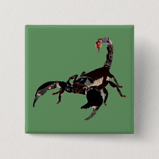 Skorpion-Buttonnen Vierkante Button 5,1 Cm (Voorkant)
