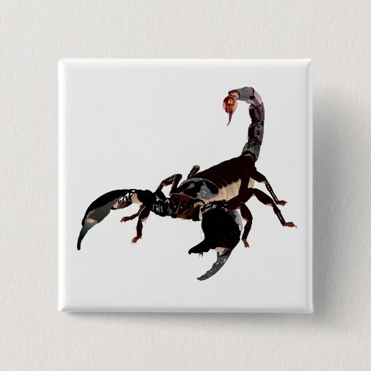 Skorpion-Buttonnen Vierkante Button 5,1 Cm (Voorkant)