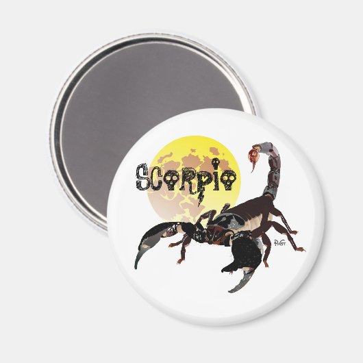 Skorpion Magnet (Voorkant / Achterkant)