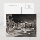  skski-afbeelding, Ski-spoor door de bomen Briefkaart (Voorkant / Achterkant)