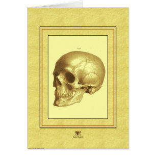 "Skull"