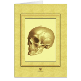 "Skull"