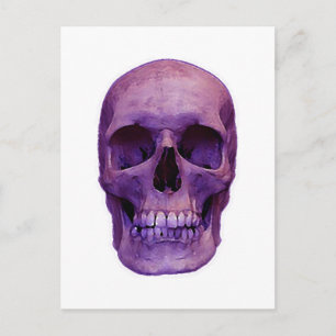 Skull Briefkaart