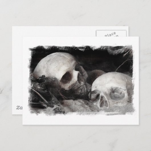 Skull Buddies Briefkaart (Voorkant / Achterkant)