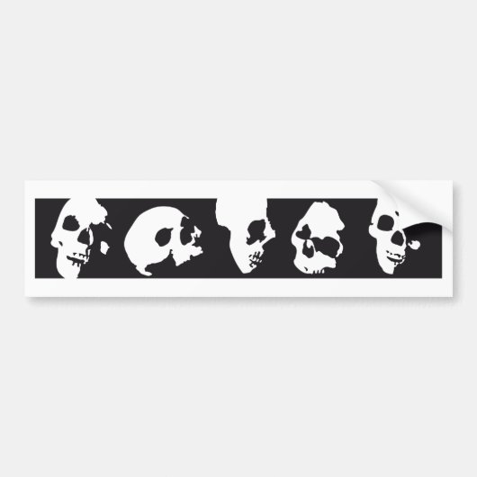 skull bumpersticker (Voorkant)