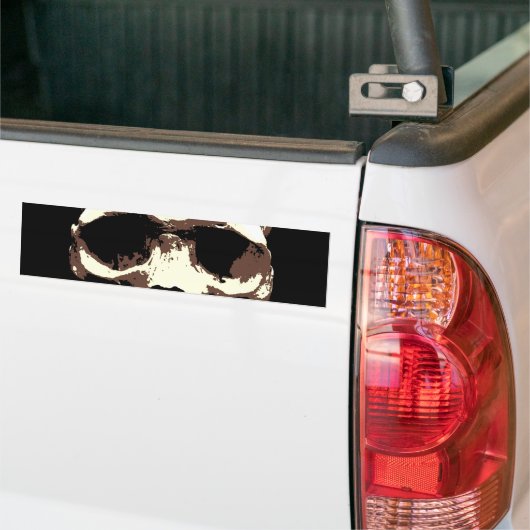 Skull Bumpersticker (Op Truck)