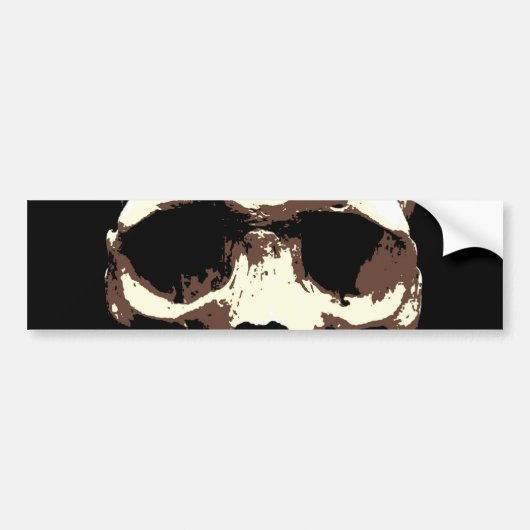 Skull Bumpersticker (Voorkant)
