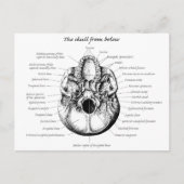 Skull Details Side Briefkaart (Voorkant)