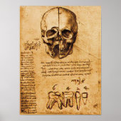 SKULL EN TEETH, DENTALE KLINIEK, DENTIST POSTER (Voorkant)