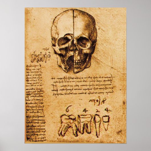 SKULL EN TEETH, DENTALE KLINIEK, DENTIST POSTER (Voorkant)
