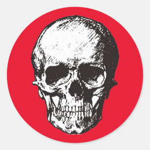Skull Fantasy Art Rock Punk Heavy Metal Ronde Sticker