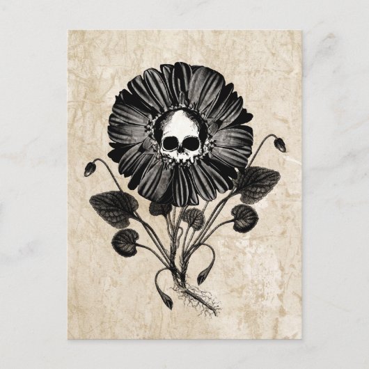Skull Flower Briefkaart (Voorkant)