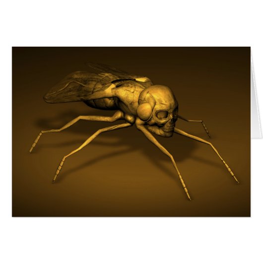 Skull Fly (Voorkant Horizontaal)