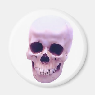 Skull Magneet