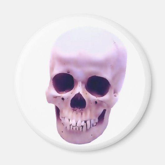 Skull Magneet (Voorkant)