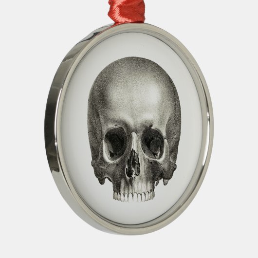 Skull Ornament (Rechts)