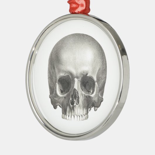 Skull Ornament (Links)