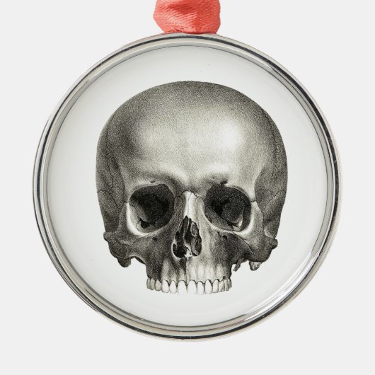 Skull Ornament (Voorkant)