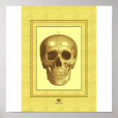 Skull Poster (Voorkant)