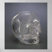 Skull Poster (Voorkant)