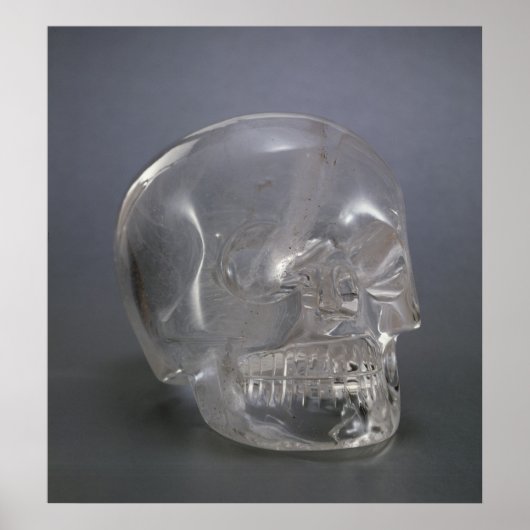 Skull Poster (Voorkant)