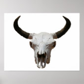Skull Poster (Voorkant)