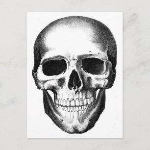 Skull Skeleton Head Scary Creepy Halloween Briefkaart