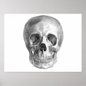 Skull Sketch perfect voor Halloween party-behoefte Poster (Voorkant)