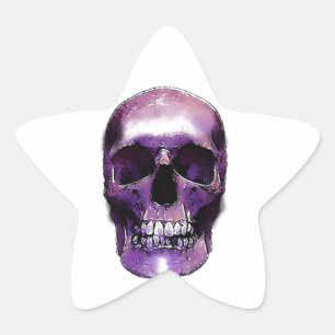 Skull Ster Sticker
