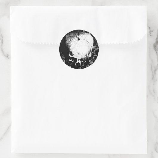 Skull Sticker (Tas)