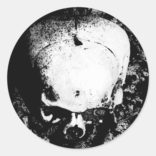 Skull Sticker (Voorkant)