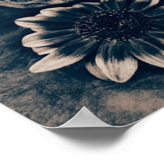 Skull Sunflower  Cyanotype Gothic Poster (Hoek)