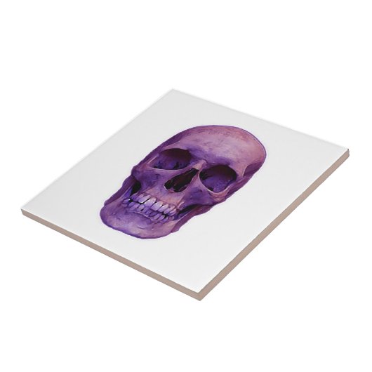 Skull Tegeltje (Zijkant)