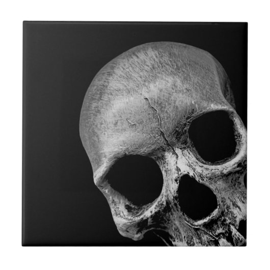 Skull Tegeltje (Voorkant)