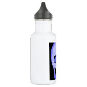 Skull Waterfles (Links)