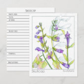 Skullcap Herb Materia Medica Kaarten Kruidenstudie (Voorkant / Achterkant)