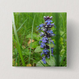 Skullcap Violet Wilde Vloer Vierkante Button 5,1 Cm